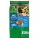 Comida para perro Dog Chow Cachorro medianos y grandes x 22,7 kg