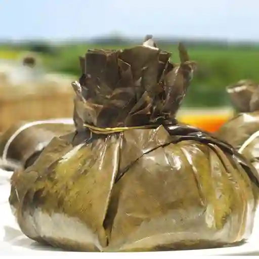 Tamal tolimense