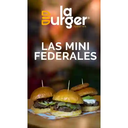 Las Mini Federales