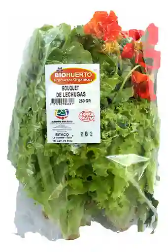 Biohuerto Lechuga Bouquet Orgánico