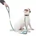 Correa Para Perro Totto Manija Sencilla Odye Rosa Arcoiris