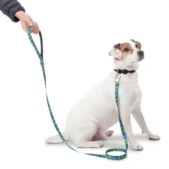 Correa Para Perro Totto Manija Sencilla Odye Rosa Arcoiris