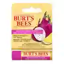 Burt's Bálsamo Labial Bees Dragonfruit Lemon