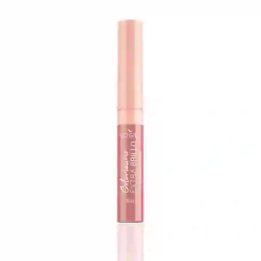 Labial Vogue Brillo Rose(5 Ml)