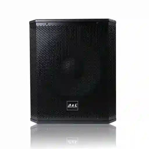 B & L Bajo Activo 300W BL-15-300W 15"