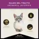 Comida para Gatos Adultos cuidado urinario Purina Pro Plan x 3 kg