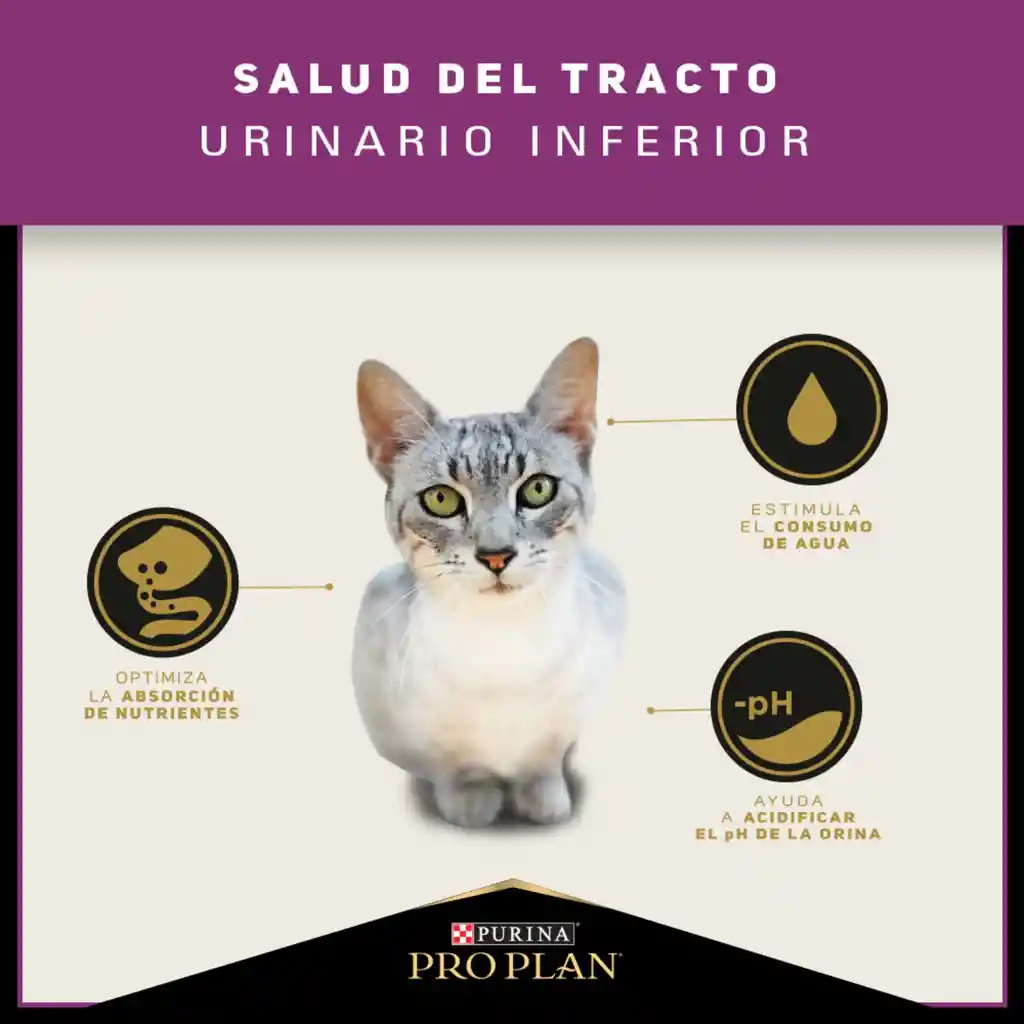 Comida para Gatos Adultos cuidado urinario Purina Pro Plan x 3 kg