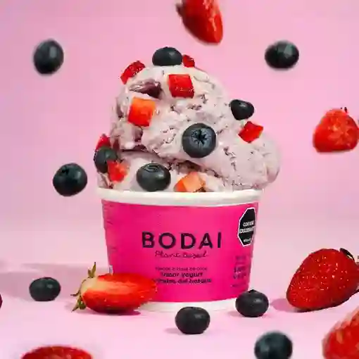 Helado de Coco Sabor Yogurt y Frutos Del Bosque - Bodai