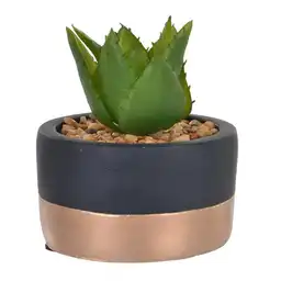 Planta Con Pote 592370051 Concepts