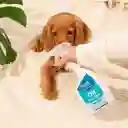 LuloPet Off Quitamanchas Espacios con Mascotas - 500 ml
