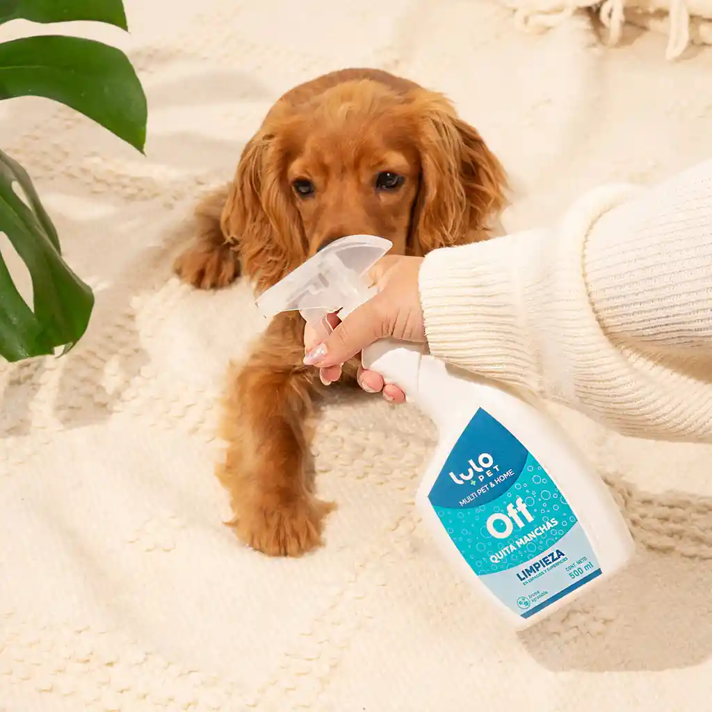 LuloPet Off Quitamanchas Espacios con Mascotas - 500 ml