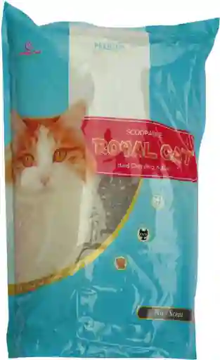 Royal Cat Arena Sin Olor