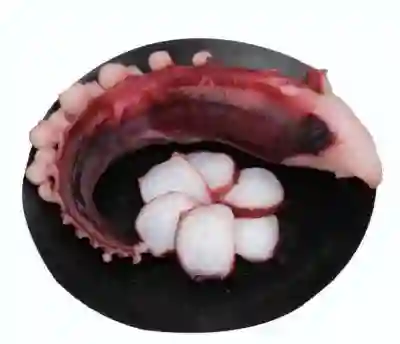 Calamar Tentáculo
