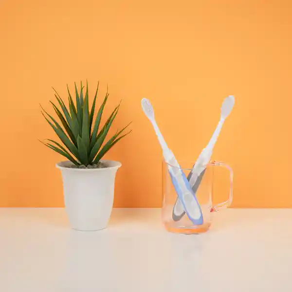 Cepillo de Dientes Plegable el Cuidado de Encías Serie Miniso