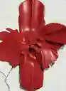 Cinturón Selene Rojo Talla M Mujer Mango