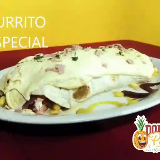 Burrito Especial