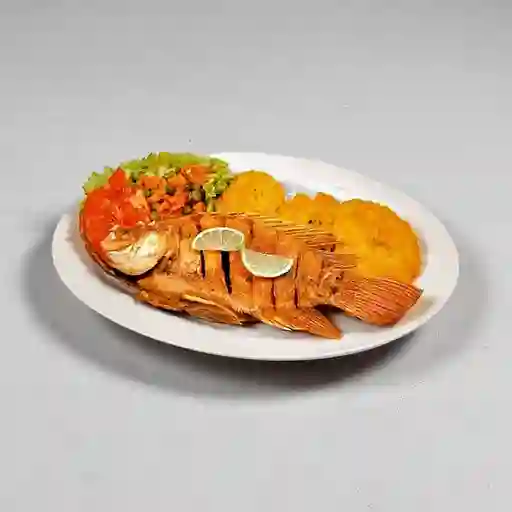 Mojarra Frita