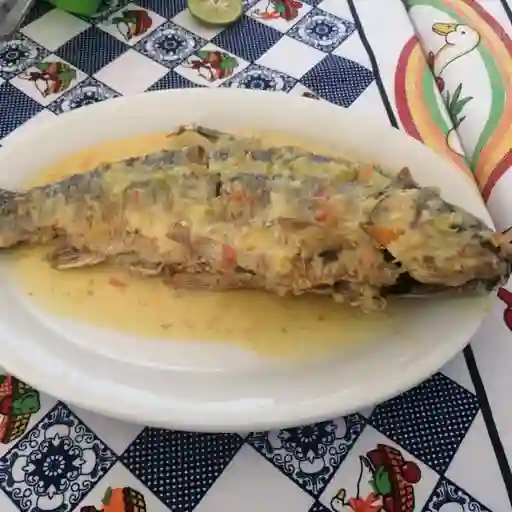 Bocachico en Salsa de Coco