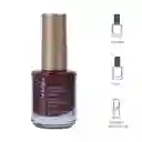 Esmalte de Uñas a Base de Aceite Colorich 12 Miniso