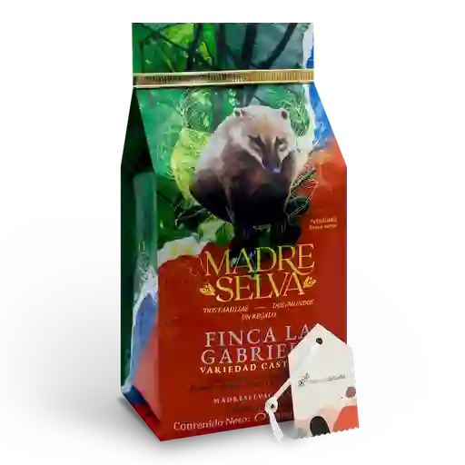 Madre Selva Café Especial la Gabriela de Grano