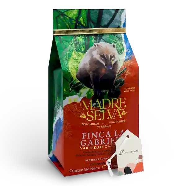 Madre Selva Café Especial la Gabriela de Grano