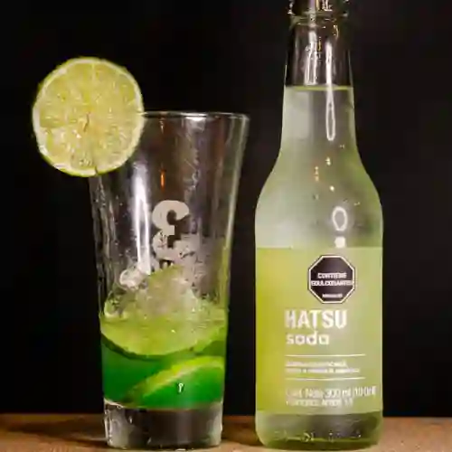 Sodas Saborizadas 16 Onz