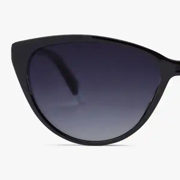 Barner Gafas Sun Astoria Negro Oscuro