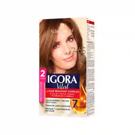 Igora Tinte Vital Café Moca Claro 7-65 100 mL