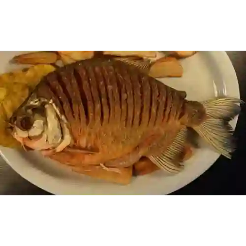 Cachama Frita 500gr