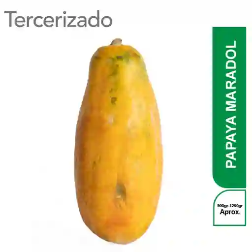 Papaya Maradol Turbo