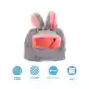 Gorro Para Mascota Zootopia Judy Serie Disney Animals Miniso