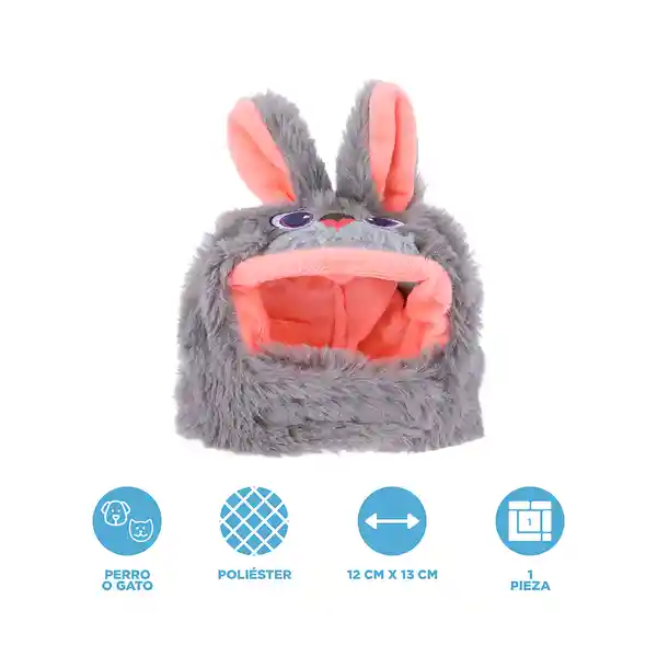 Gorro Para Mascota Zootopia Judy Serie Disney Animals Miniso