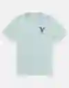Camiseta Hombre Azul Talla SMALL 4290401 American Eagle