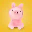 Peluche Gigi Jungla Sorpresa 5 Modelos Mini Family 4" Miniso