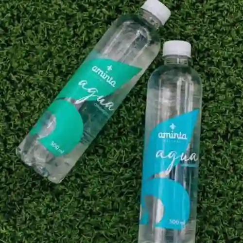 Agua Aminta Sin Gas 500 ml