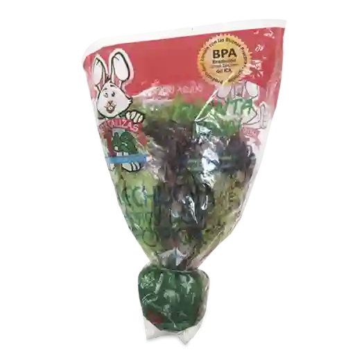 Makro Lechuga Mixta Hidropónica