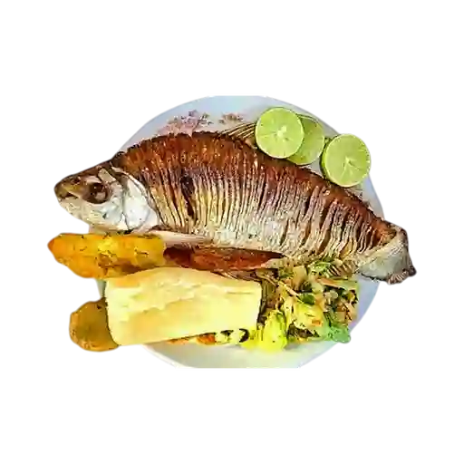 Bocachico Frito