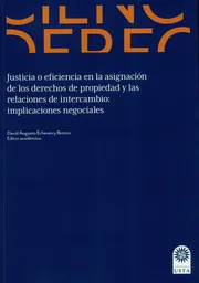 Justicia o Eficiencia en la Asignación de Los Derechos