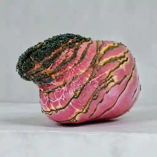 Pastrami 200gr