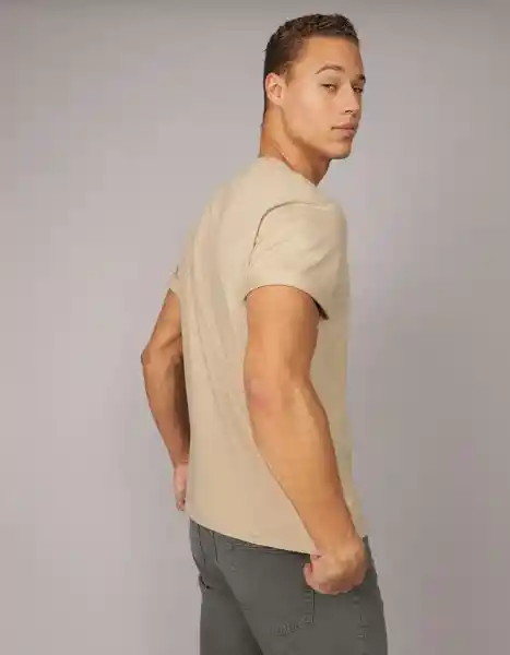Camiseta Hombre Beige Talla: MEDIUM 4426212 American Eagle