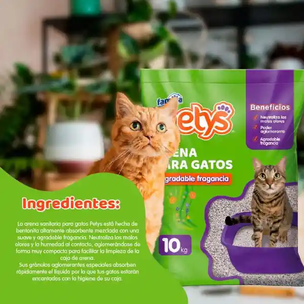 Petys Arena para Gatos Aglomerante