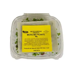 Micro Mix Picante Microgreens