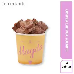 Magda Cubito de Helado de Yogurt Griego Tropical