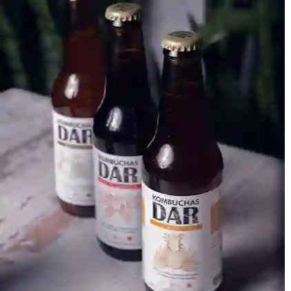 Kombuchas de Sabores