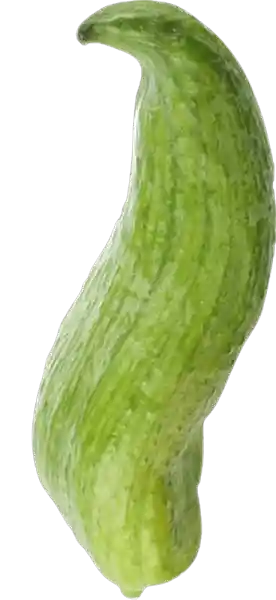 Pepino Guiso