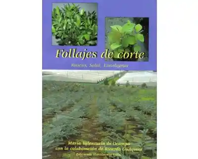 Follajes de Corte Ruscus Salal Eucalyptus