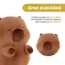 Peluche Serie Kapibara 12 in Miniso