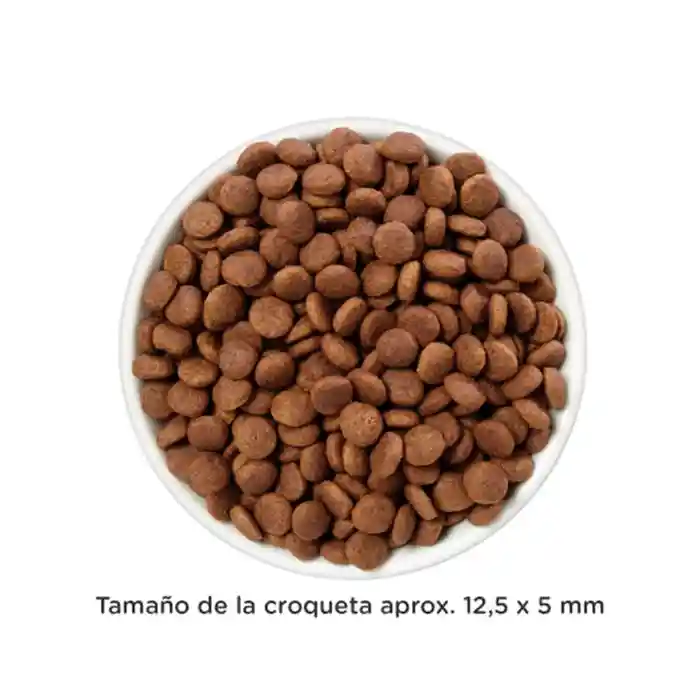 Hills Alimento Para Perro Adulto Gastro Biome 16 Lb