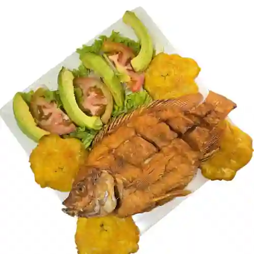 Mojarra de 450gr