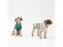 Chaleco Mascota S Casaideas